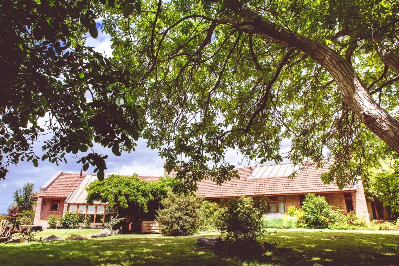 Posada Los Mimbres Gaiman Exterior photo